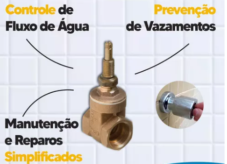 imagem6